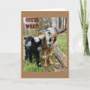 Buscar para alguien especial tarjetas General y unisex