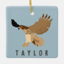 Buscar halcones adornos Halcón de cola roja