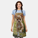 Buscar chihuahua delantales Animal