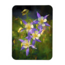Buscar columbines imanes Para todos