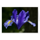 Buscar frameable Flor