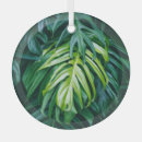 Buscar hojas adornos Jungla