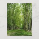 Buscar trayectoria postales Jardín