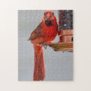 Buscar plumas puzzles Verano