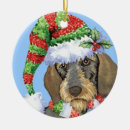 Buscar teckel adornos Navidad
