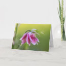 Buscar movimientos tarjetas 9 º danza