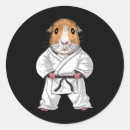 Buscar marti pegatinas Maestro de karate