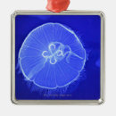 Buscar medusas adornos Subacuático