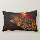 Buscar leopardo cojines Gato grande
