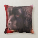 Buscar terranova cojines Newfie