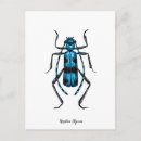 Buscar dibujos lineales postales Animal