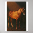 Buscar estudio de un caballo posters Equino