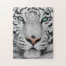 Buscar tigre blanco puzzles Animales salvajes