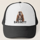 Buscar conejo negro gorras Perro