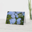 Buscar hydrangea purpura fotografía Flores