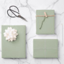 Buscar pistacho papel de regalo Moderno