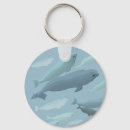 Buscar beluga llaveros Naturaleza