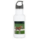 Buscar bebé agua botellas 5 º ducha