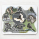Buscar birdwatching electronica Fauna