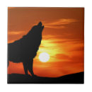 Buscar lobo azulejos Aullido
