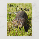 Buscar lagartos tarjetas Reptil