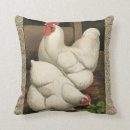 Buscar gallo y gallina cojines Campo