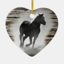 Buscar caballos salvajes adornos Caballo salvaje