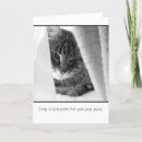 Buscar del mascota tarjetas de condolencias Gatito
