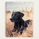 Buscar viejo agendas Lindo