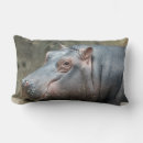 Buscar hipopótamo cojines Adorable