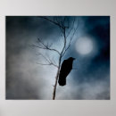 Buscar filas posters Naturaleza