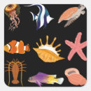 Buscar peces marinos pegatinas Animales