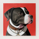 Buscar perro blanco negro puzzles Retrato