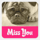 Buscar miss you postales Cachorro