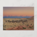 Buscar manada de elefantes postales África