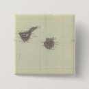 Buscar canario chapas Color