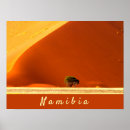 Buscar namibia posters Arena