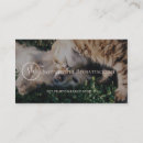 Buscar fotografía tarjetas de visita Minimalista
