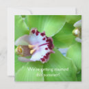 Buscar orquídea verde invitaciones Flores