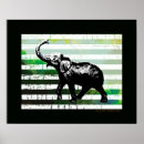 Buscar mamíferos posters Zoológico