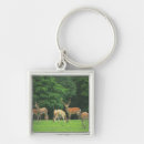 Buscar asta llaveros Al aire libre