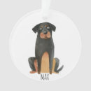 Buscar perro del rottweiler adornos Moderno