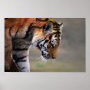 Buscar el subir posters General y unisex