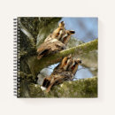 Buscar búhos libretas Aves