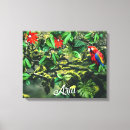 Buscar loros lienzos Ave tropical