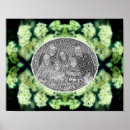 Buscar rosas salvajes posters Flor