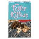 Buscar gatitos calendarios Animales