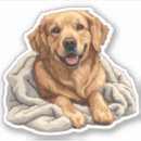 Buscar golden retriever pegatinas Amante del perro