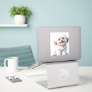 Buscar shih tzu pegatinas Shitzu