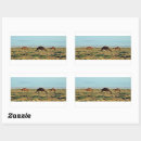 Buscar camellos pegatinas Fauna